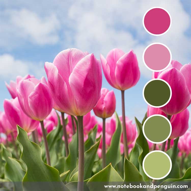 Hot pink and green color palette