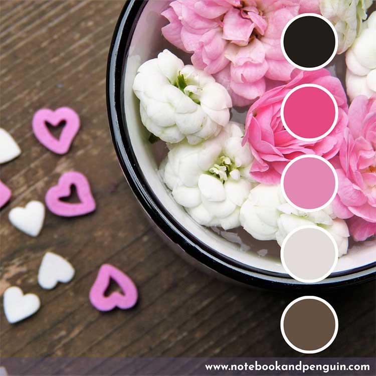 Black, hot pink and white color palette