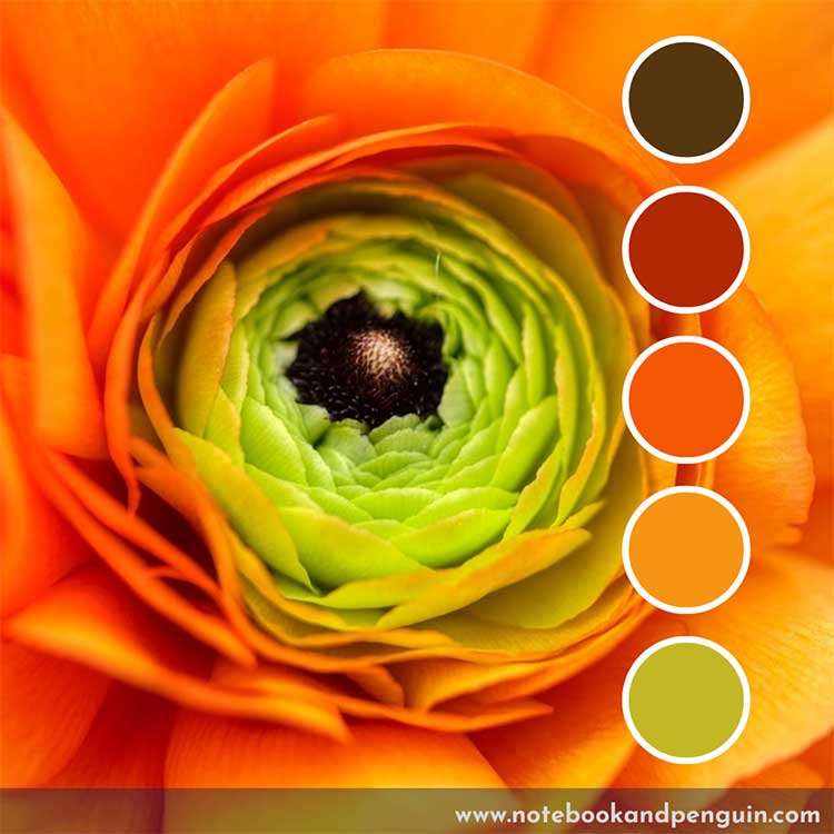Orange, lime green and brown color palette
