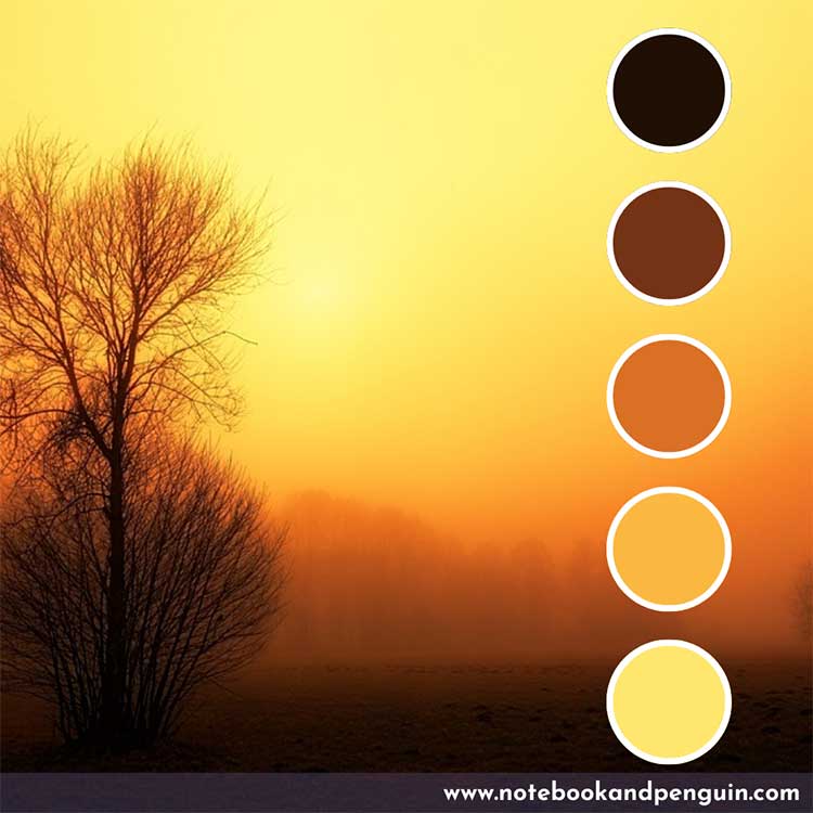 Black, maroon, burnt orange and yellow color palette