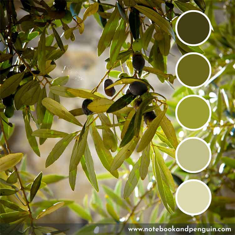 Monochromatic olive green color palette