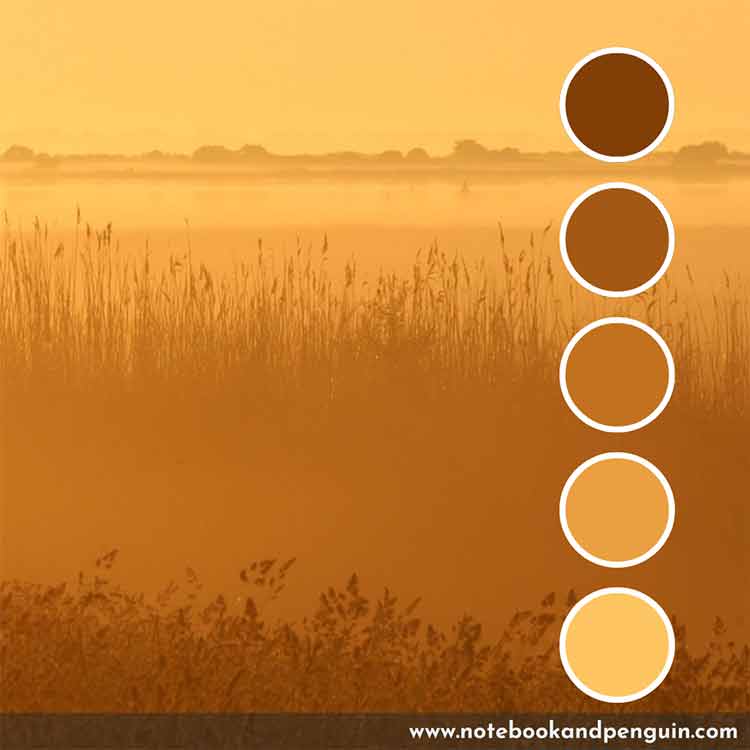 Monochromatic orange and brown color palette