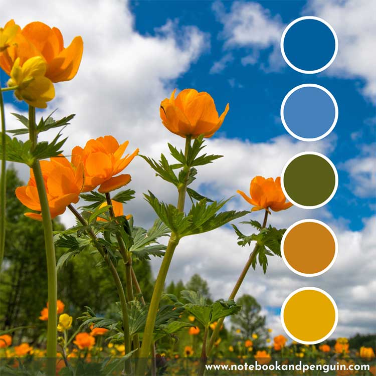 Summer inspired natural blue and orange color palette