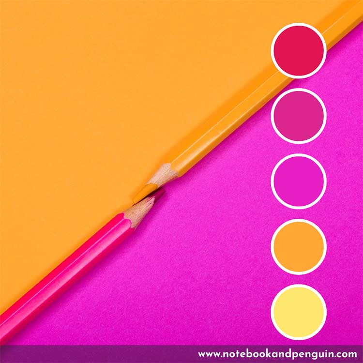 Neon orange and hot pink color palette