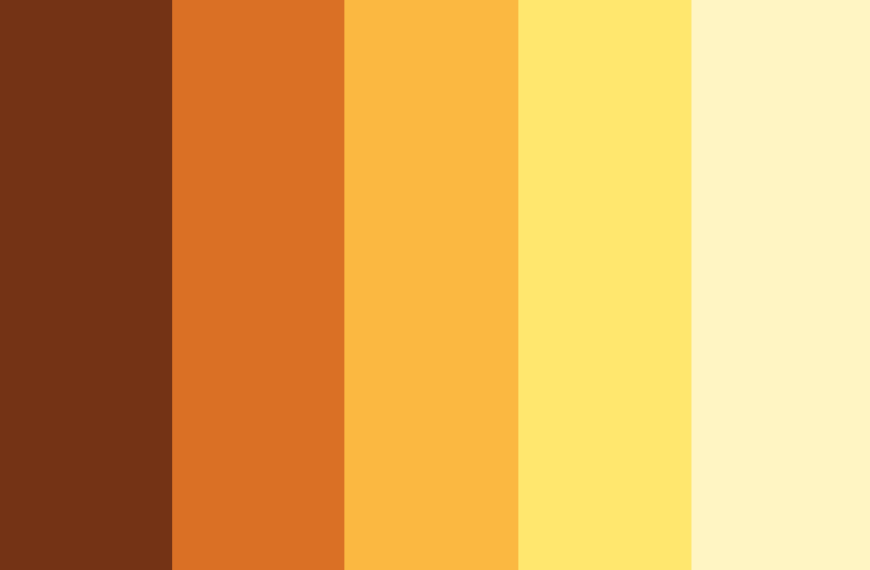 Orange Color Palette Ideas With Swatches And Hex Codes