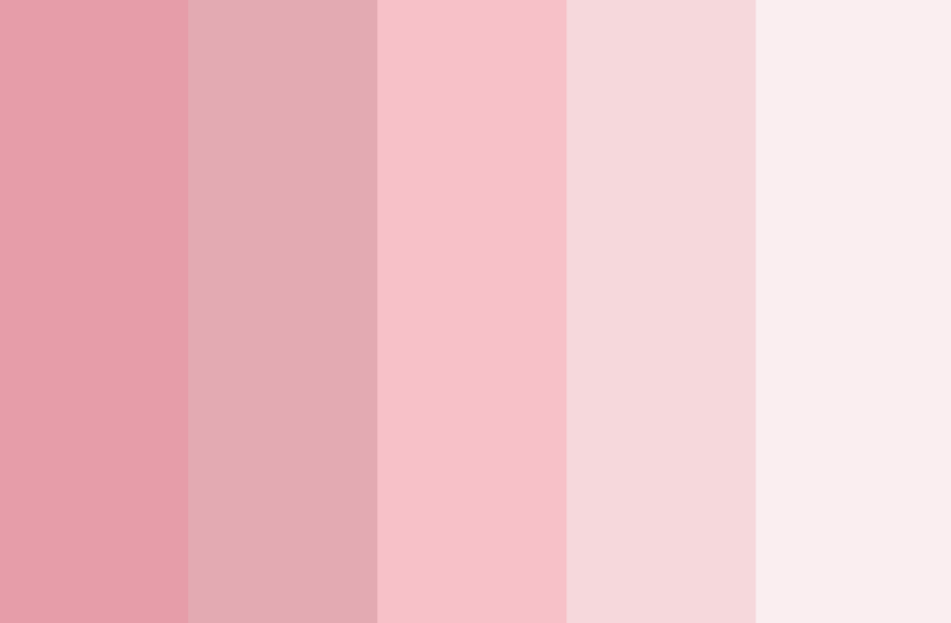 Pastel pink and light pink color palette ideas with hex codes