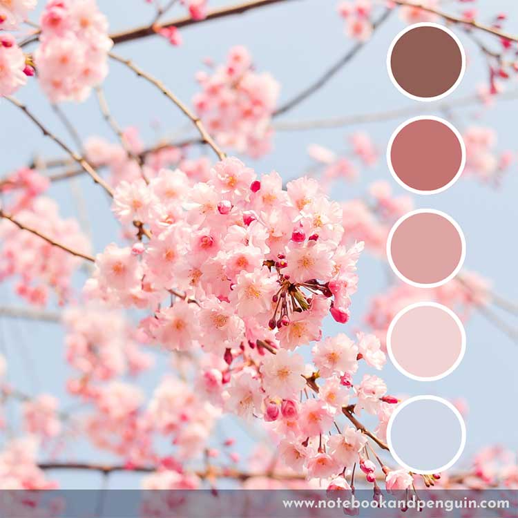 Pastel blue and light pink color palette