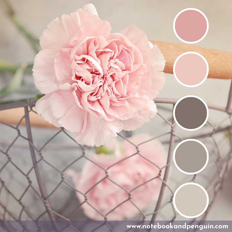Pastel Pink And Gray Color Palette
