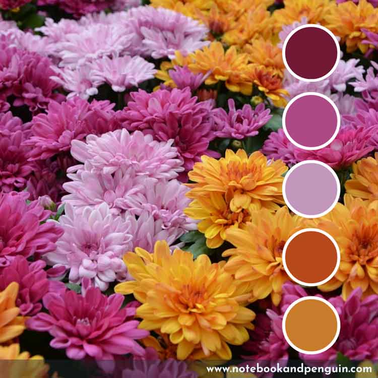 Pink and orange color palette