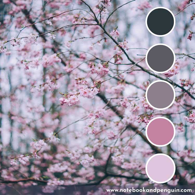 Gray, pink and black color scheme
