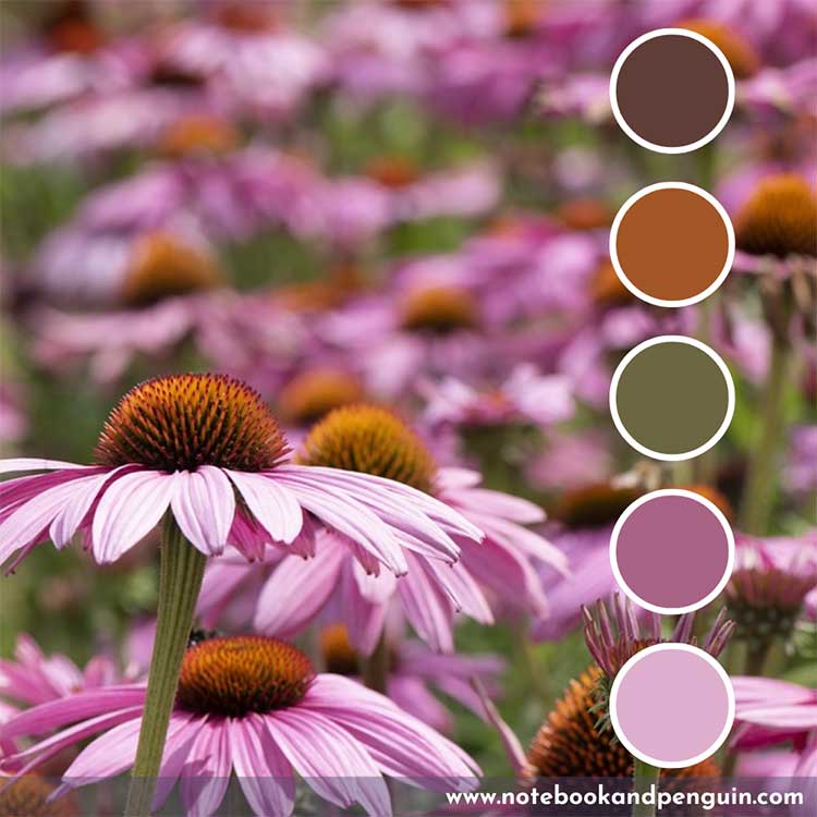 Pink, green and burnt orange color palette