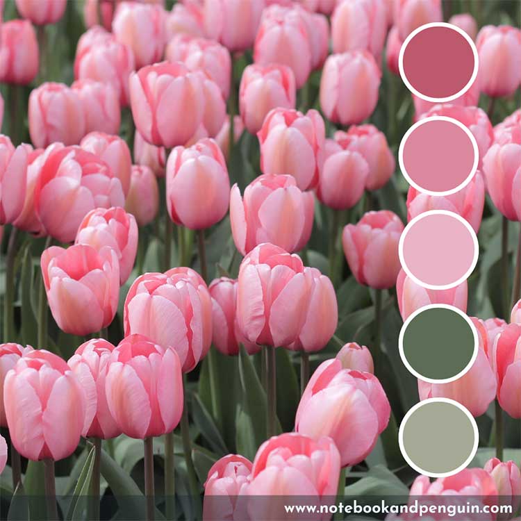 Pink and green gray color palette
