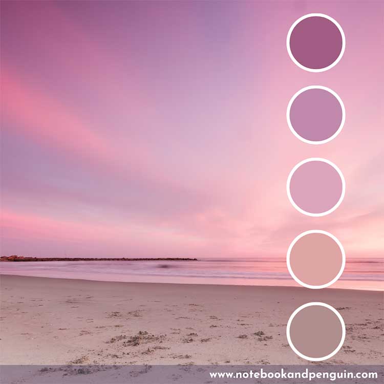 Purple and light pink color palette