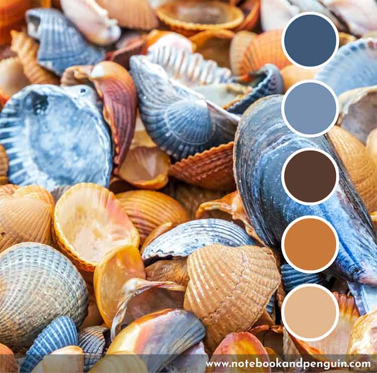 Earthy and natural blue and orange color palette