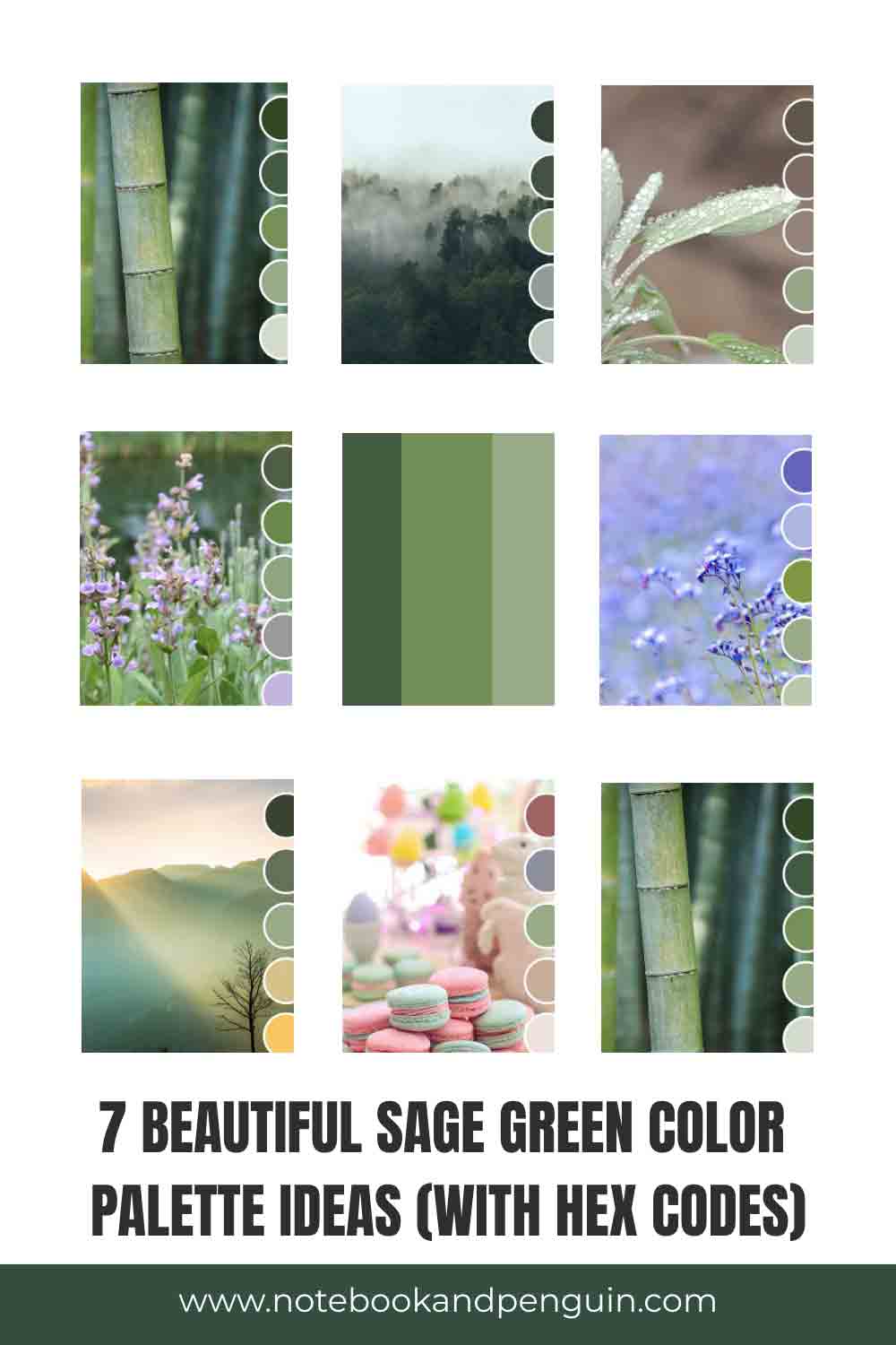7 Beautiful Sage Green Color Palette Ideas (With Hex Codes)
