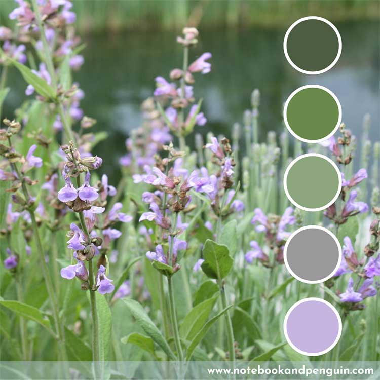 Sage green, gray and purple color palette