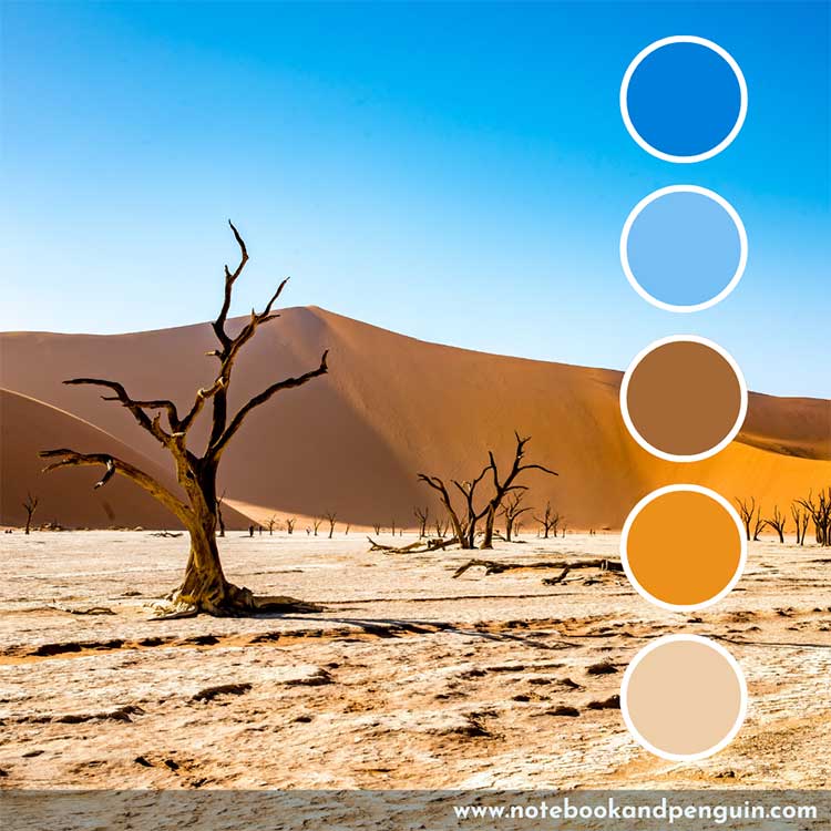 Sky blue and desert orange color palette