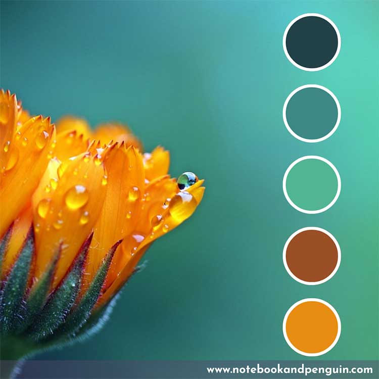 Teal and orange color palette