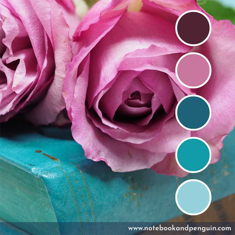 Deep red, pink and teal color palette