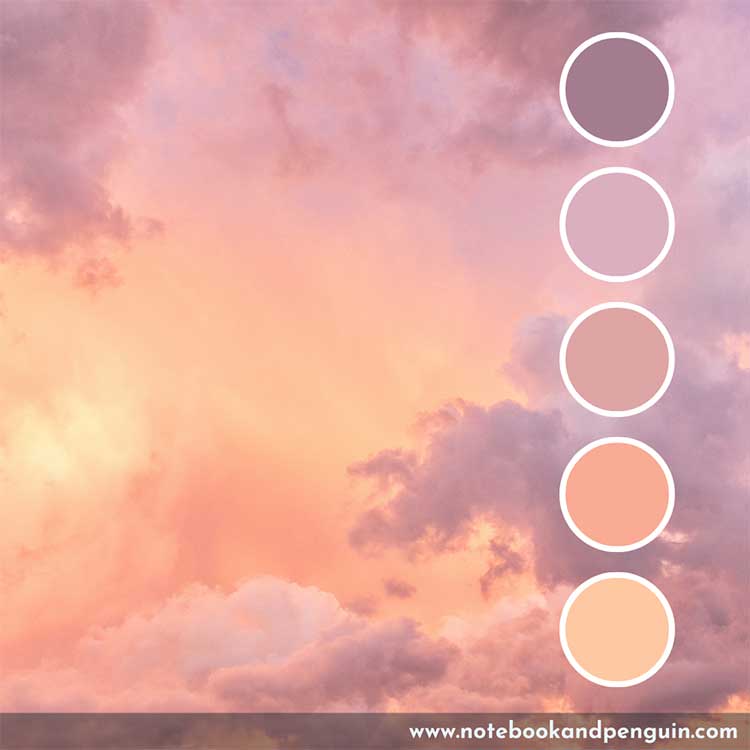 Warm Pastel Pink Color Palette