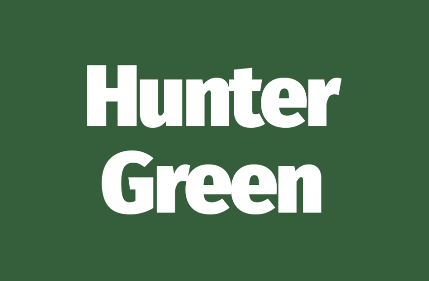 Hunter green color guide with hex codes and color swatches