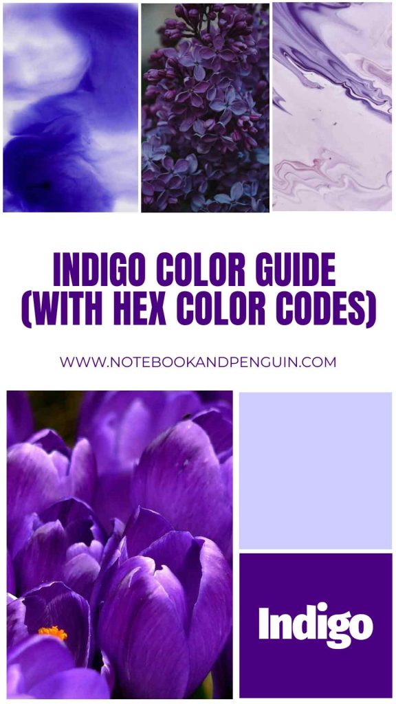Indigo color guide Pinterest pin