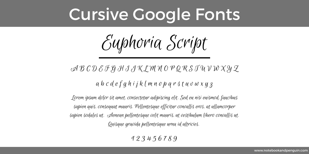 Euphoria Cursive Font Example
