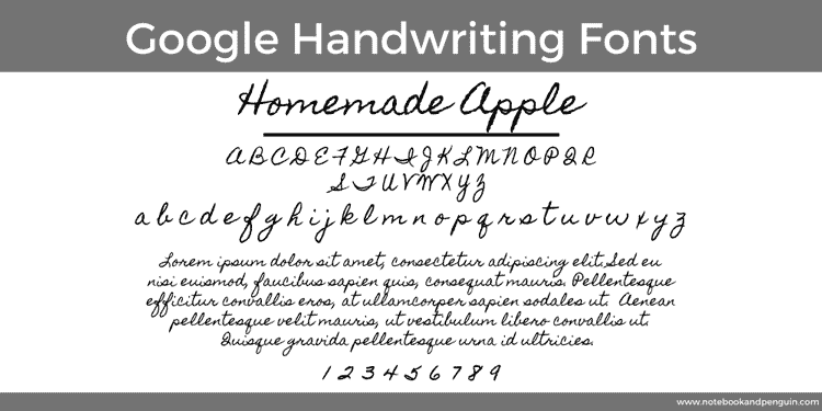 Homemade Apple Google Font