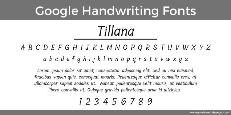 Tillana Google Font