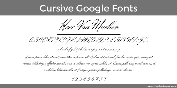 Herr Von Mueller Google Cursive Font