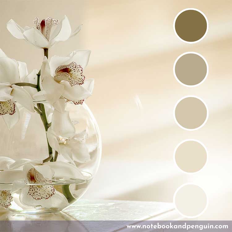 Pastel brown color palette