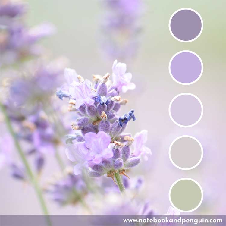 Pastel purple and lavender color palette