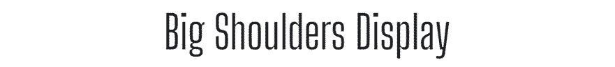 Big Shoulders Display Font Example