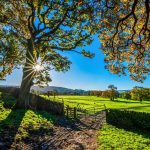 Small business ideas for rural areas and farmers