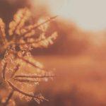 2 Corinthians 7:10 Devotional Header