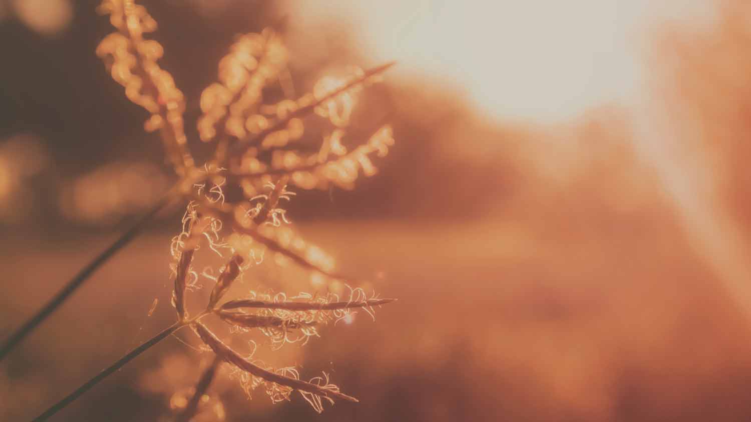 2 Corinthians 7:10 Devotional Header