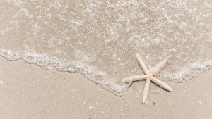 Daily Devotional Exodus 14 14 Trusting God In Tough Times