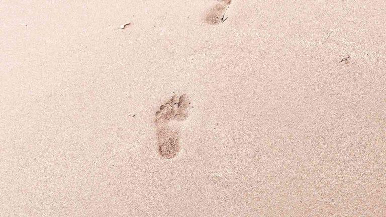 Provers 16:9 Devotional Header