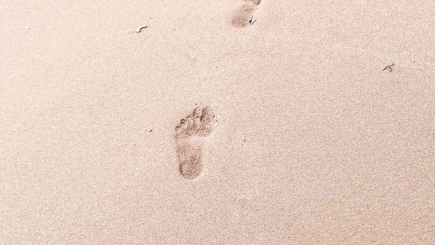 Provers 16:9 Devotional Header