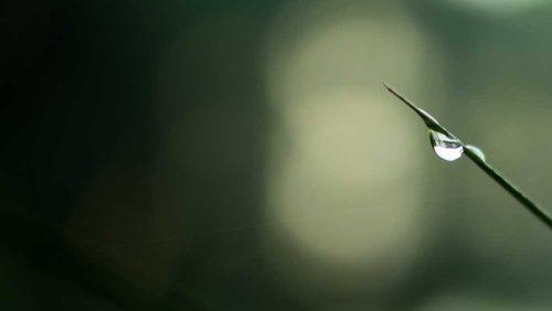 Daily Devotional: Philippians 4:6–7 (Peace Through Prayer)