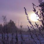 Devotional about hearing God's still small voice in a busy world