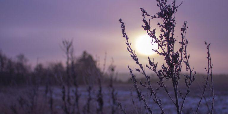 Devotional about hearing God's still small voice in a busy world