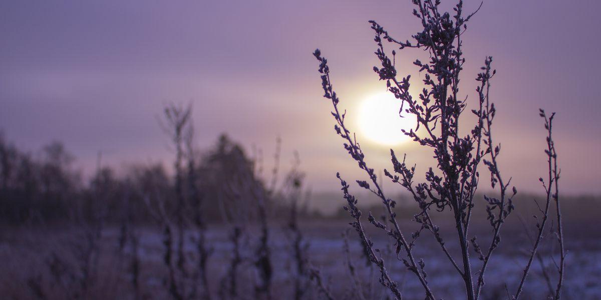 Devotional about hearing God's still small voice in a busy world