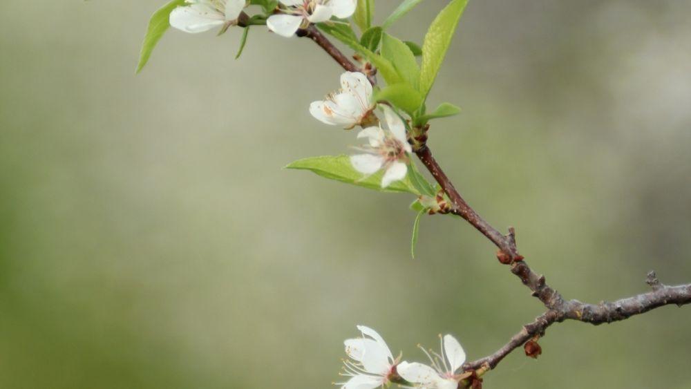 2 Corinthians 12:9 Devotional - God doesn't always change our circumstances, he changes us