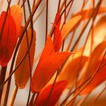 James 2:14 - Faith In Action Header