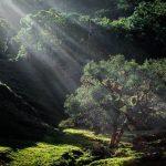 Acts 16:25 Devotional Header - Praising God When Times Are Tough