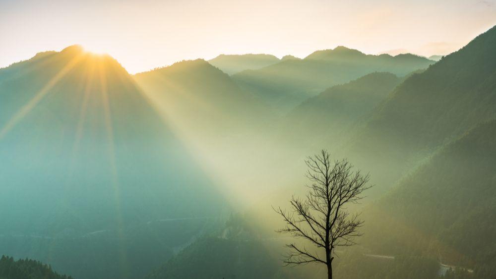 Devotional: Exodus 32:14 Header