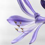 Galatians 6:9 Devotional for caregivers and parents