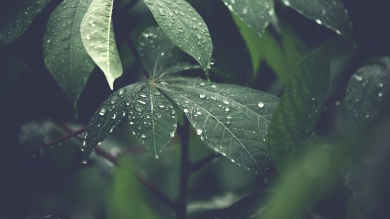 James 5:1 Devotional header - supernatural prayer