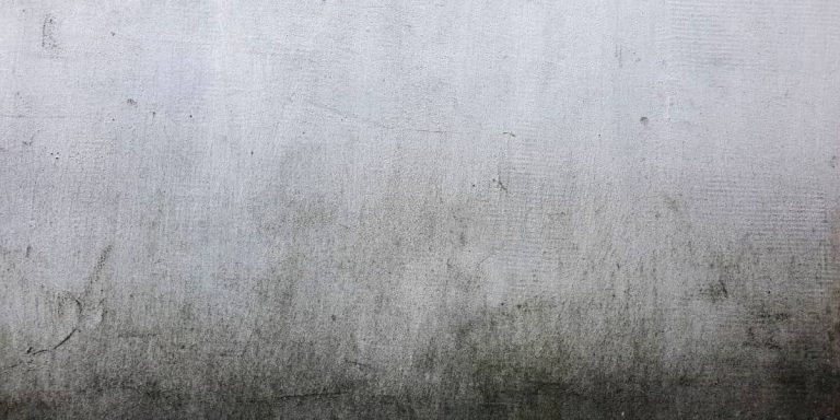 John 20:29 Devotional header